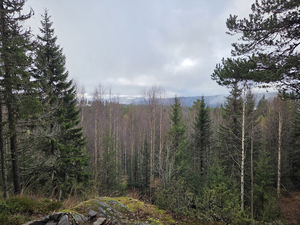 Utsikt frå bålplassen