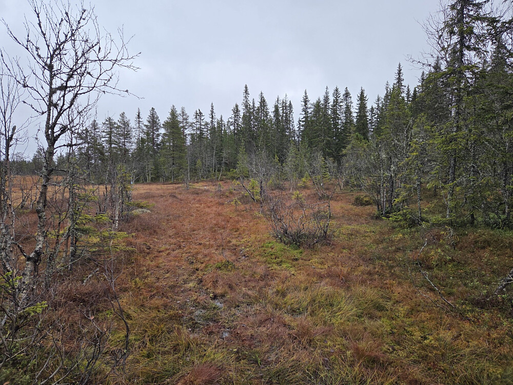 På veg mot Skriverhaugen.