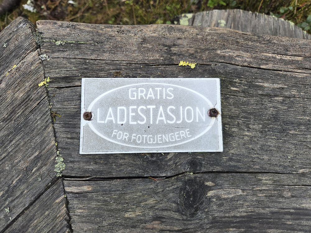 Ladestasjonen fungerte!