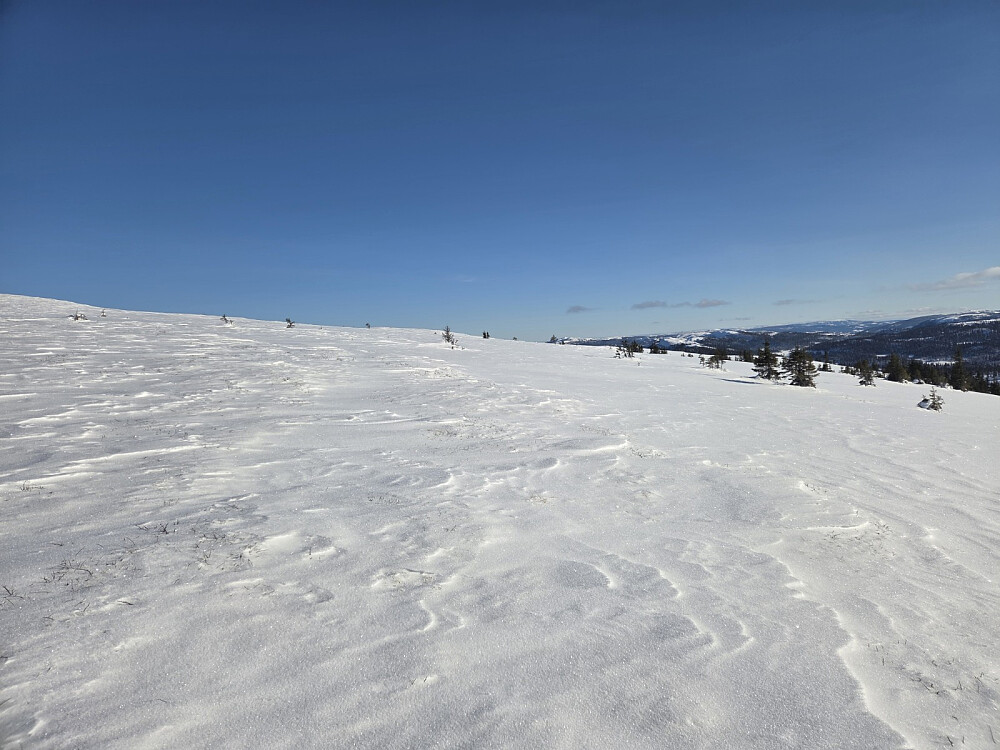 Det vart fint og ope etter kvart som ein kom over skoggrensa. Her vart snøen også meir vindpåverka, noko som gjorde det enklare å gå oppover.