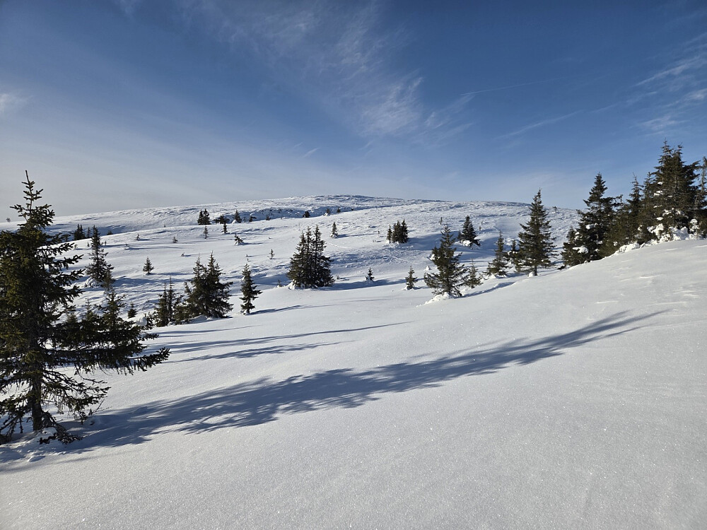 Kos terreng å gå i.