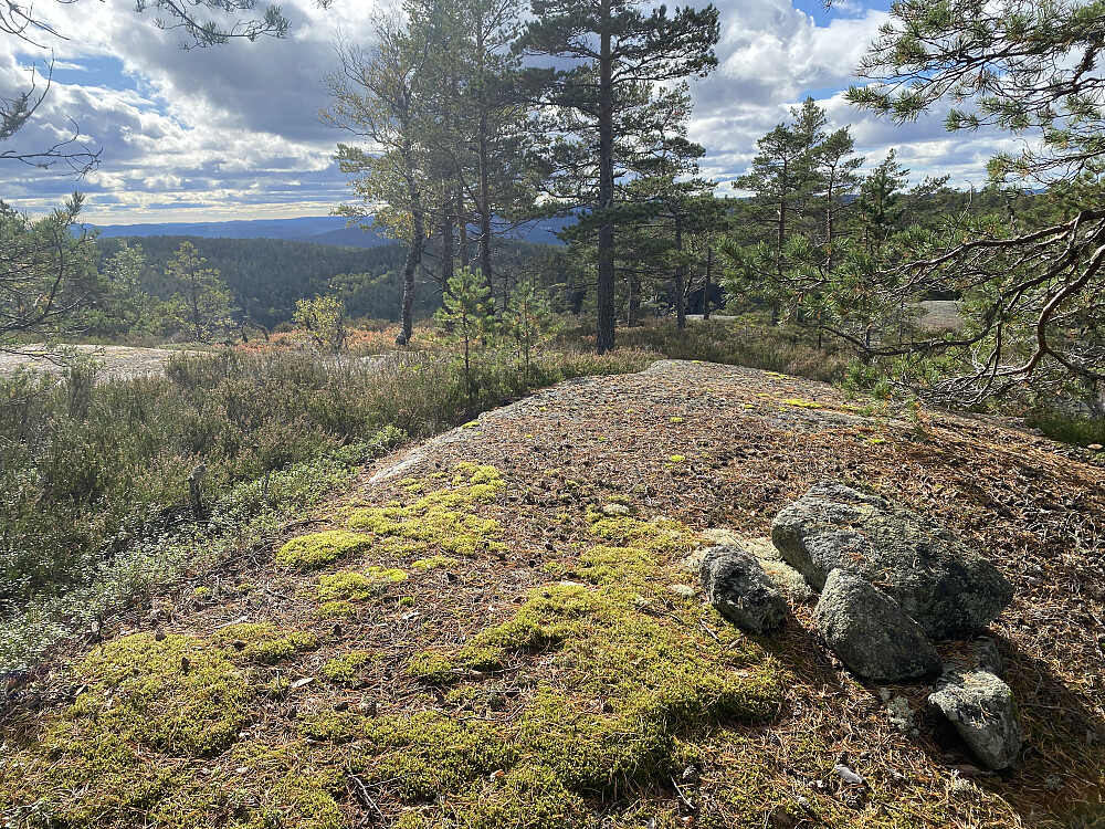 Nissedaltoppen