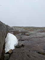 Polarjoen_20260517_6a09e6fc8a4ba.jpg