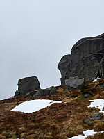 Polarjoen_20260517_6a09e6fcb8cd0.jpg