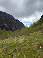 Polarjoen_20260517_6a09e6fd28579.jpg
