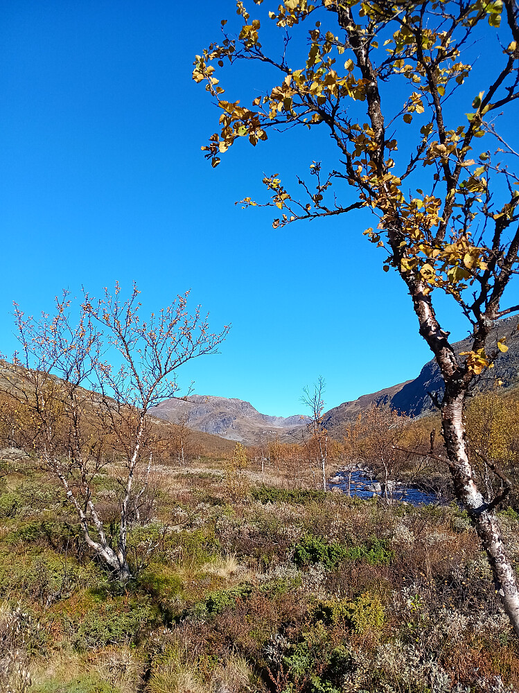 Kljådalen