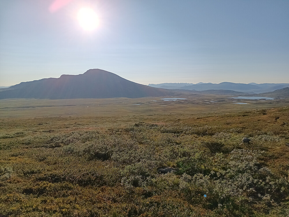 Skagsflye er kanskje det første jeg tenker på når jeg tenker på Langsua nasjonalpark.