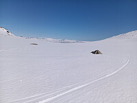 Øyvindbr_20260501_69f5165d8824a.jpg