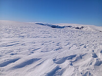 Øyvindbr_20260501_69f5165e753e8.jpg