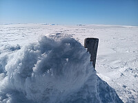 Øyvindbr_20260501_69f5165e84a98.jpg