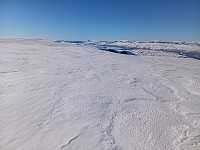 Øyvindbr_20260501_69f5165ea9640.jpg