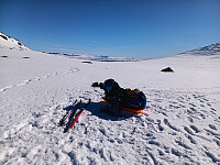 Øyvindbr_20260501_69f5165ee5999.jpg
