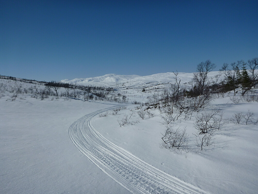 Heinådalen med Sjækerhatten lengst bak
