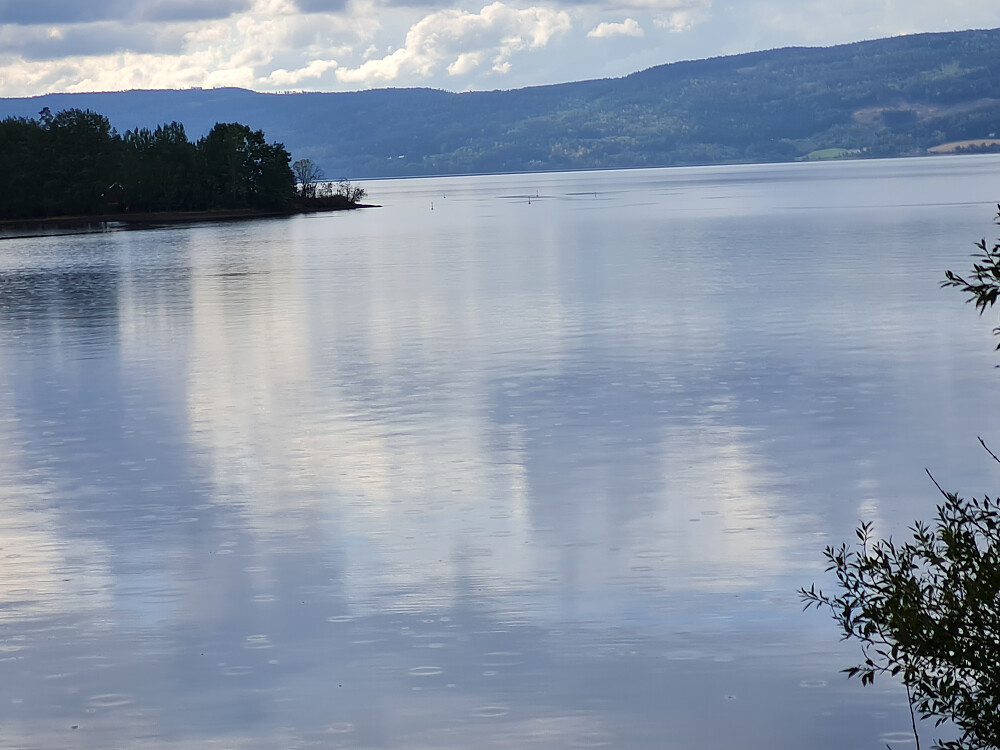Røykenvika, fra fugletårnet ved Lok-stallen
