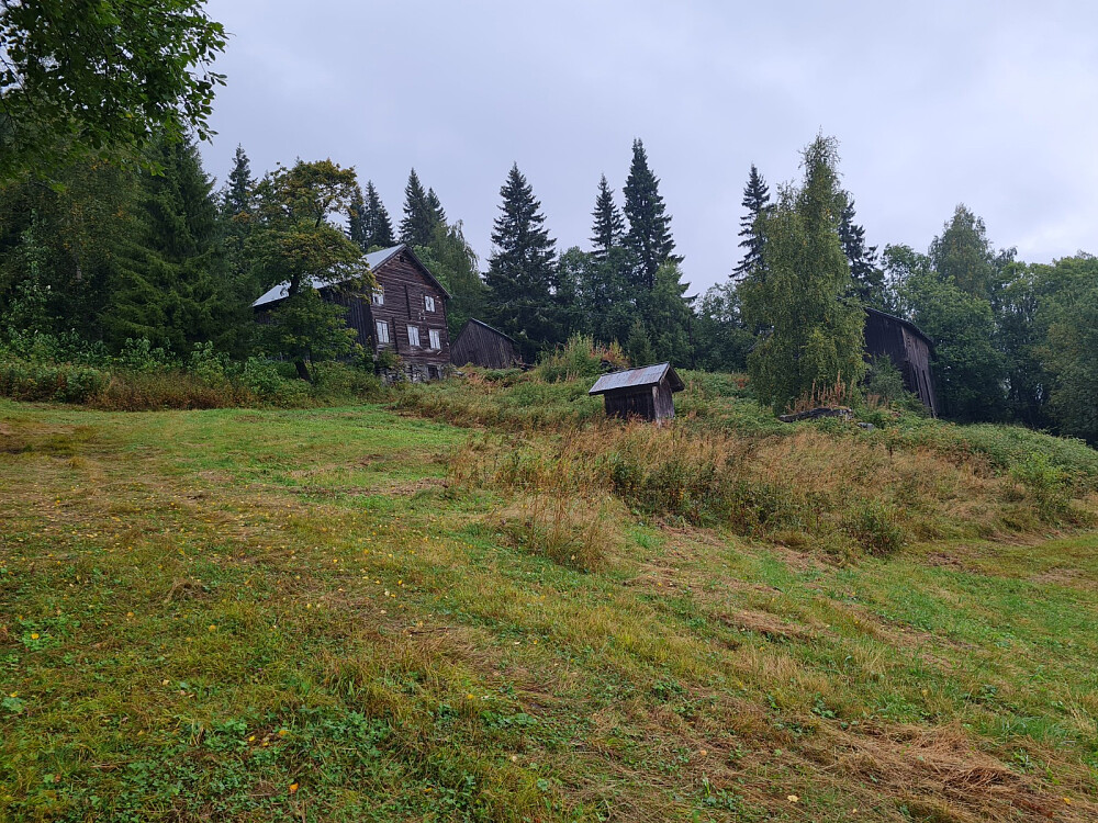 Hammershaug