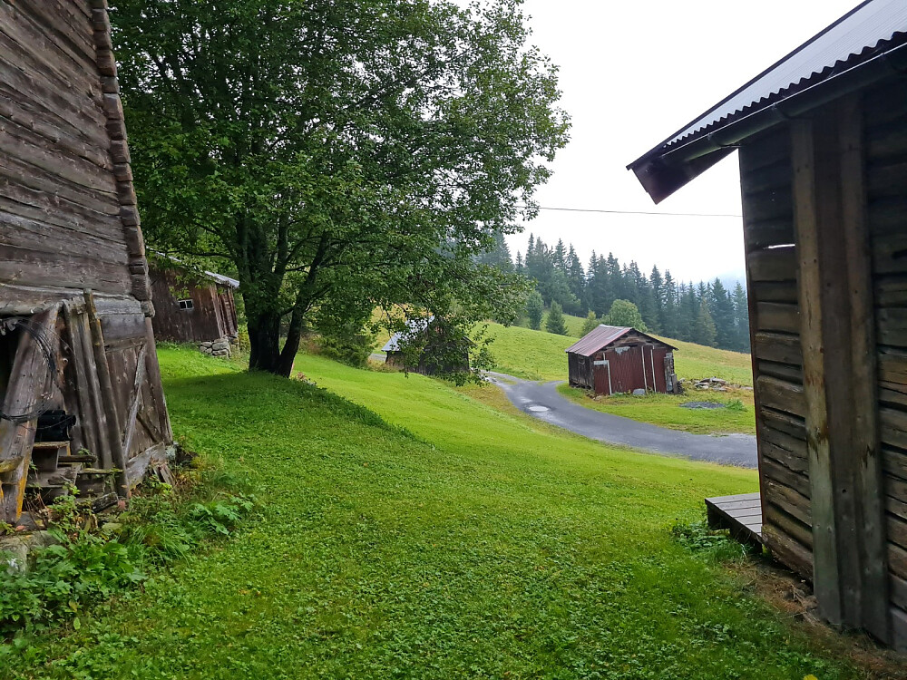 Hakkerud