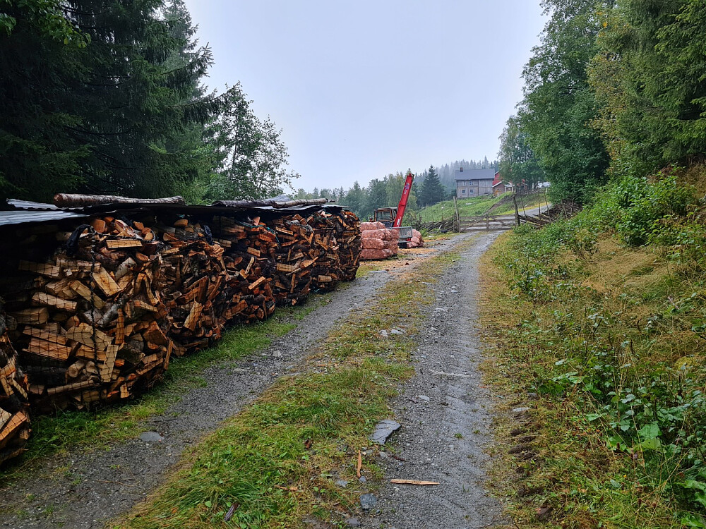 Vedproduksjon i Nygaardssvea, på Nygaards grunn