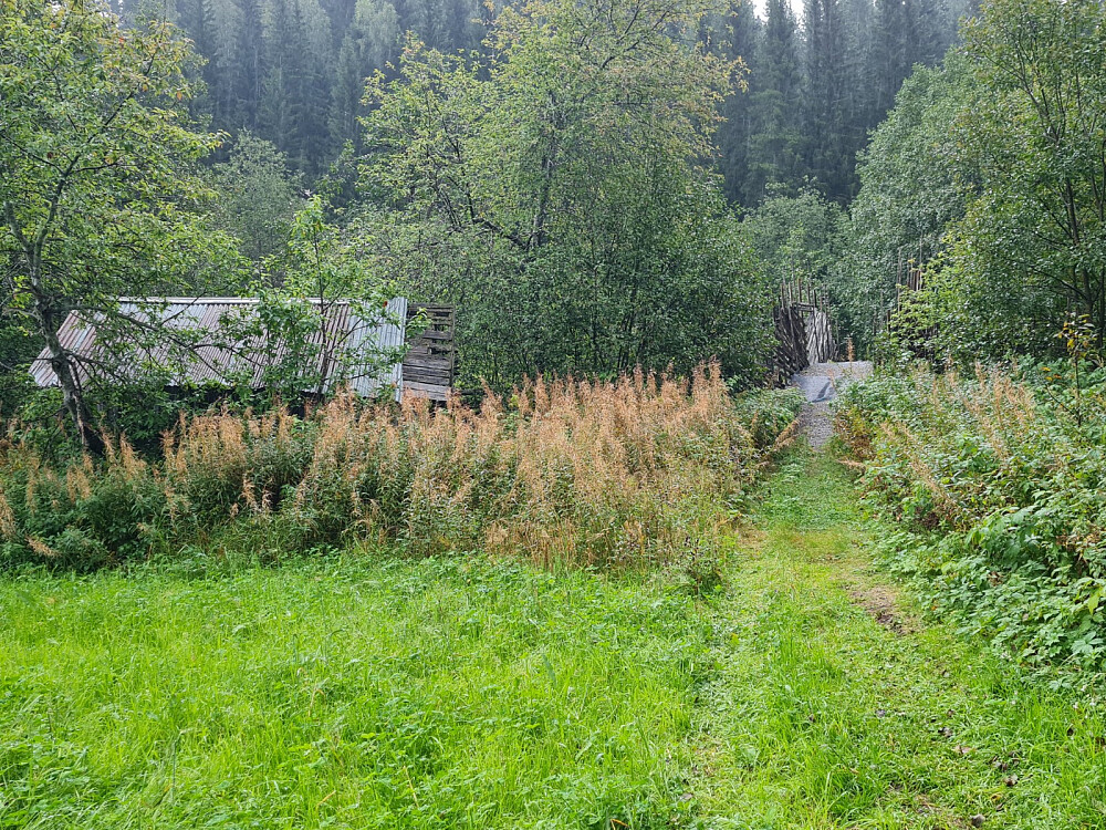 Ved skibrua