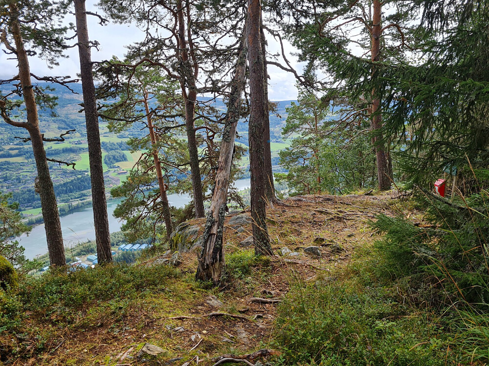 Haugakampen