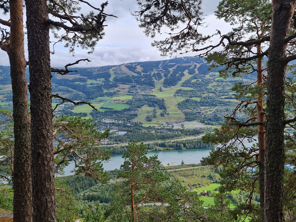 Utsikt fra Haugakampen, mot Hafjelløypene