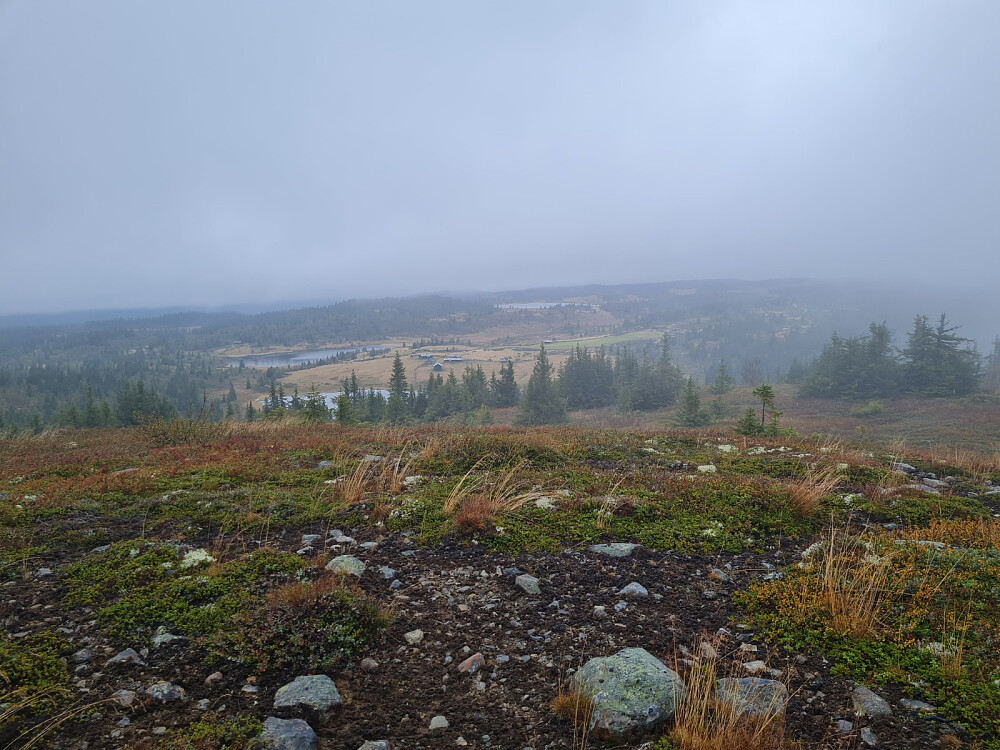 På Toftfjellet, mot Nysetra