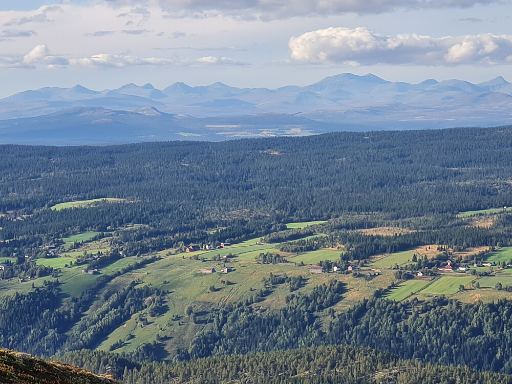Mot Søre Brekko og Rondane