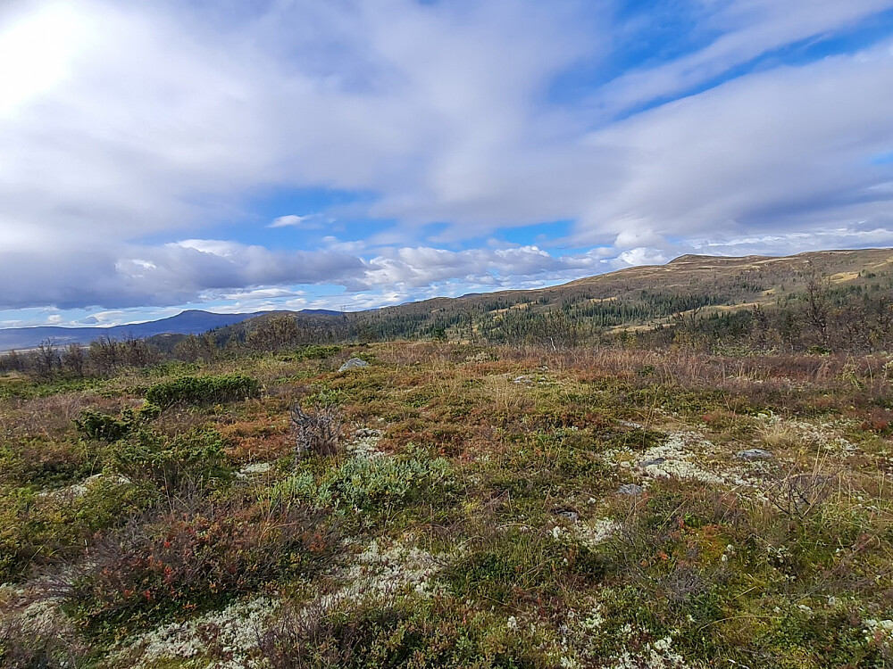 På Druktjønnhaugen