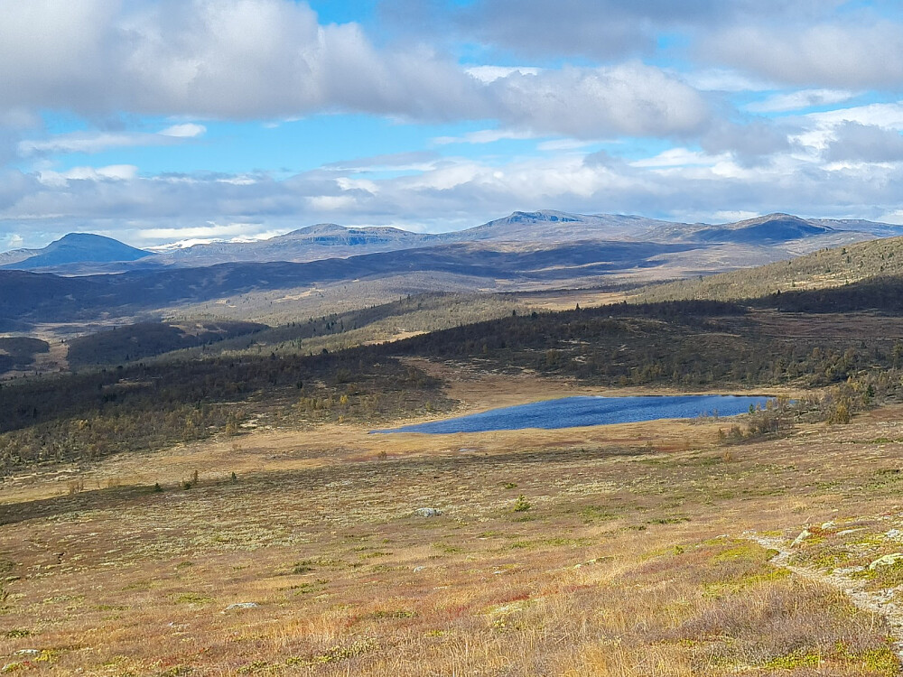 På Søre Suluhø, mot Leirbekktjønnrt, med Skaget, søre og nordre Langsua og Nonstjønnkampen