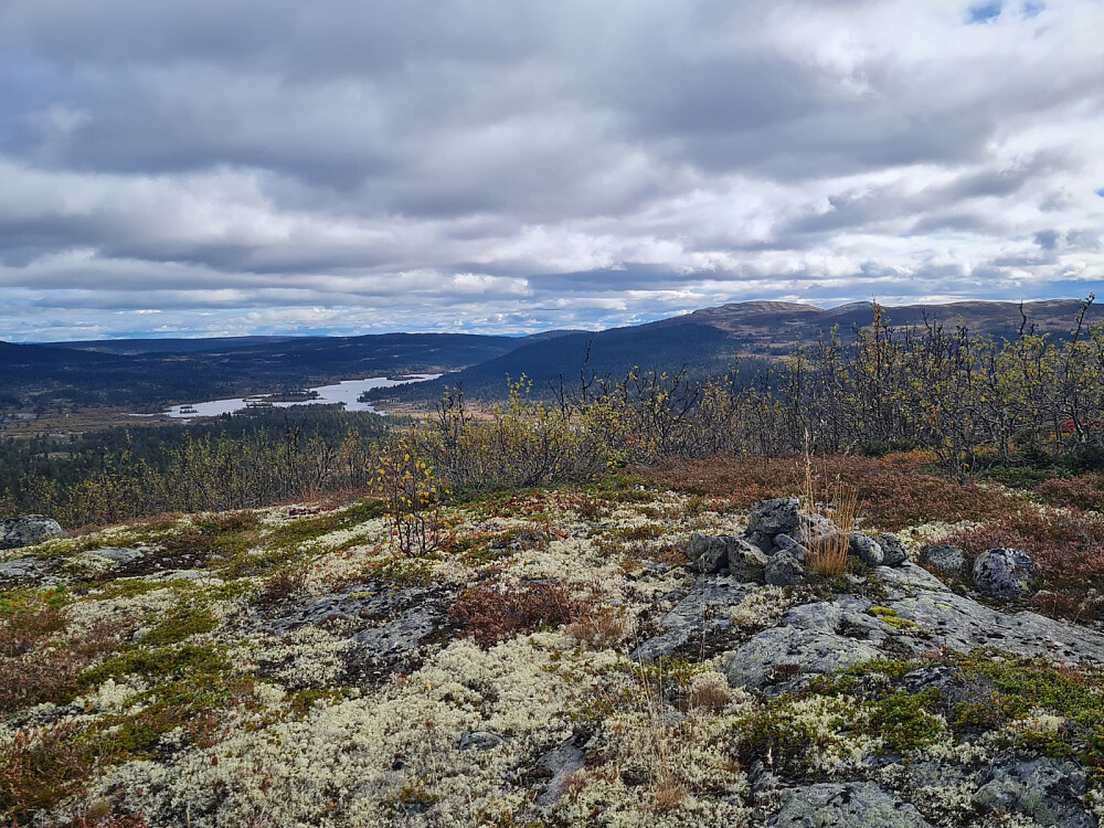 På Østre Mjødokkberga, mot Dokkvatnet