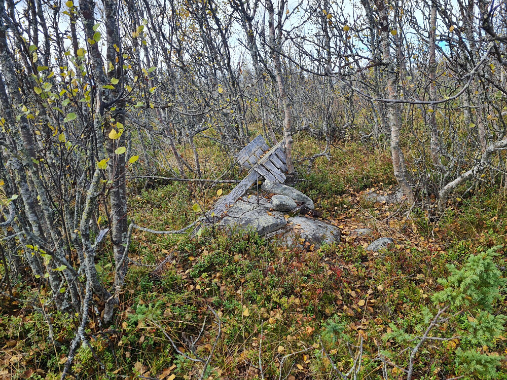 Mjødokkberget, med gammelt trigpunkt