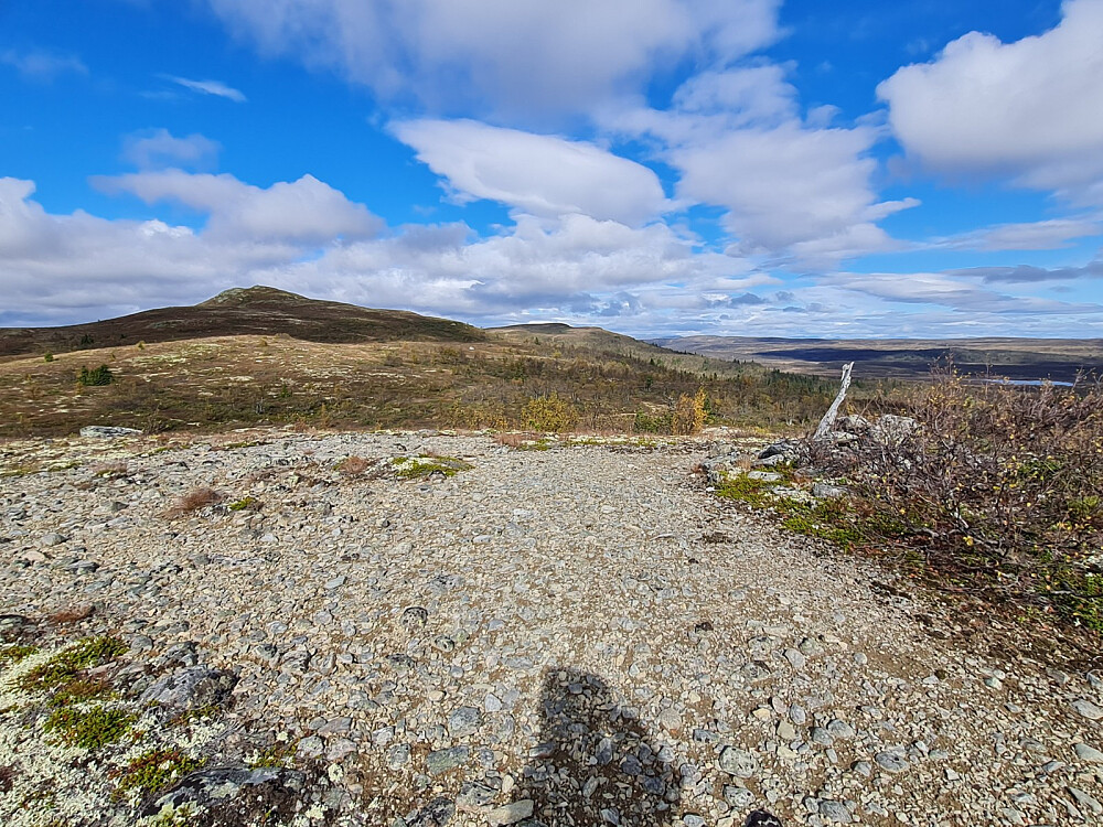 På Tortjønnlihøgda , mot Søre Suluhø