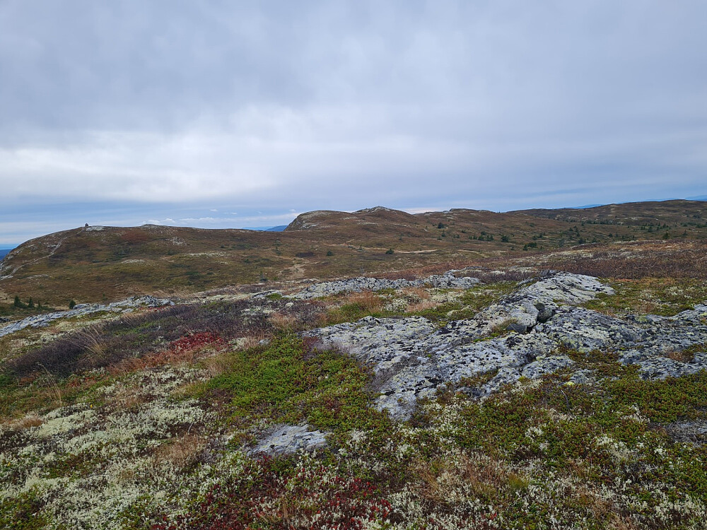 På Nordvest for Gammelhans