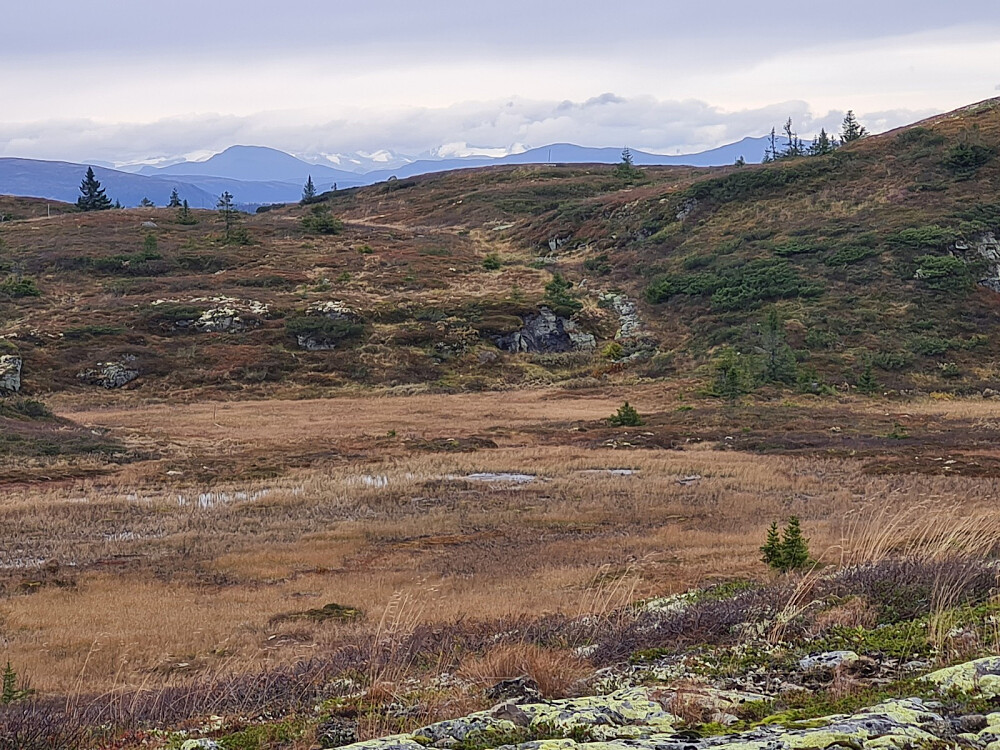 På Rævskorotjønnhaugen, mot Skaget, Tjørnholstind og Langsuene