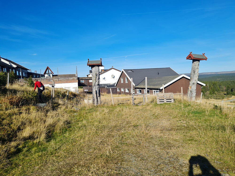 Hornsjø