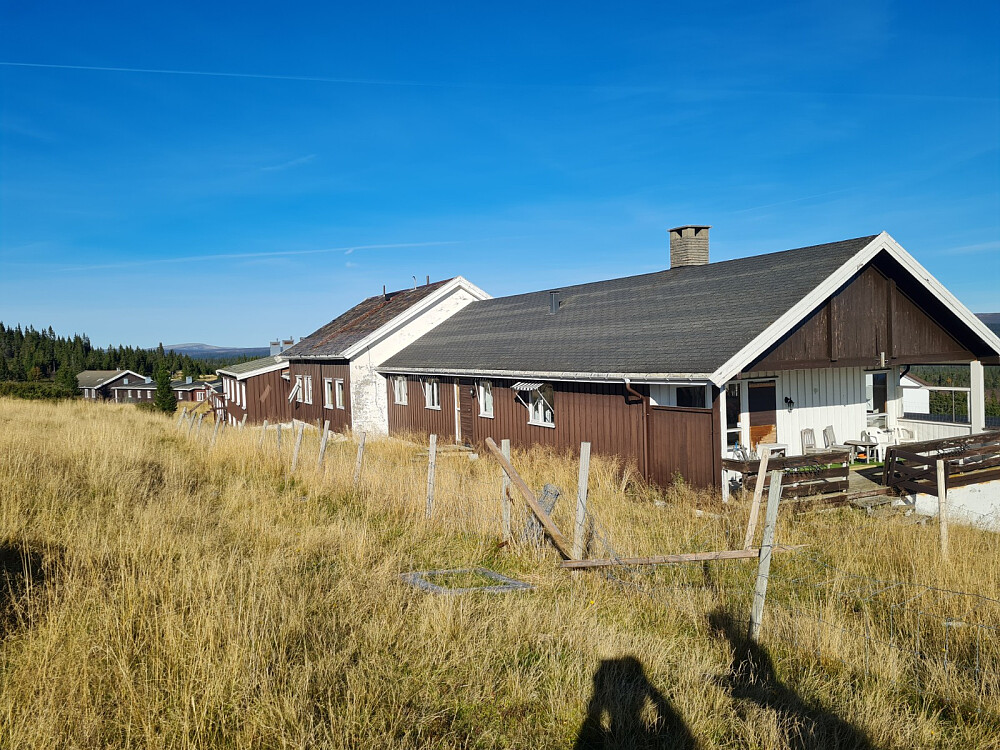 Hornsjø