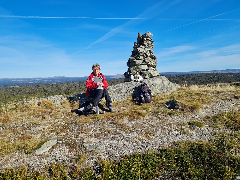 Niste fortæres på Snauskallen