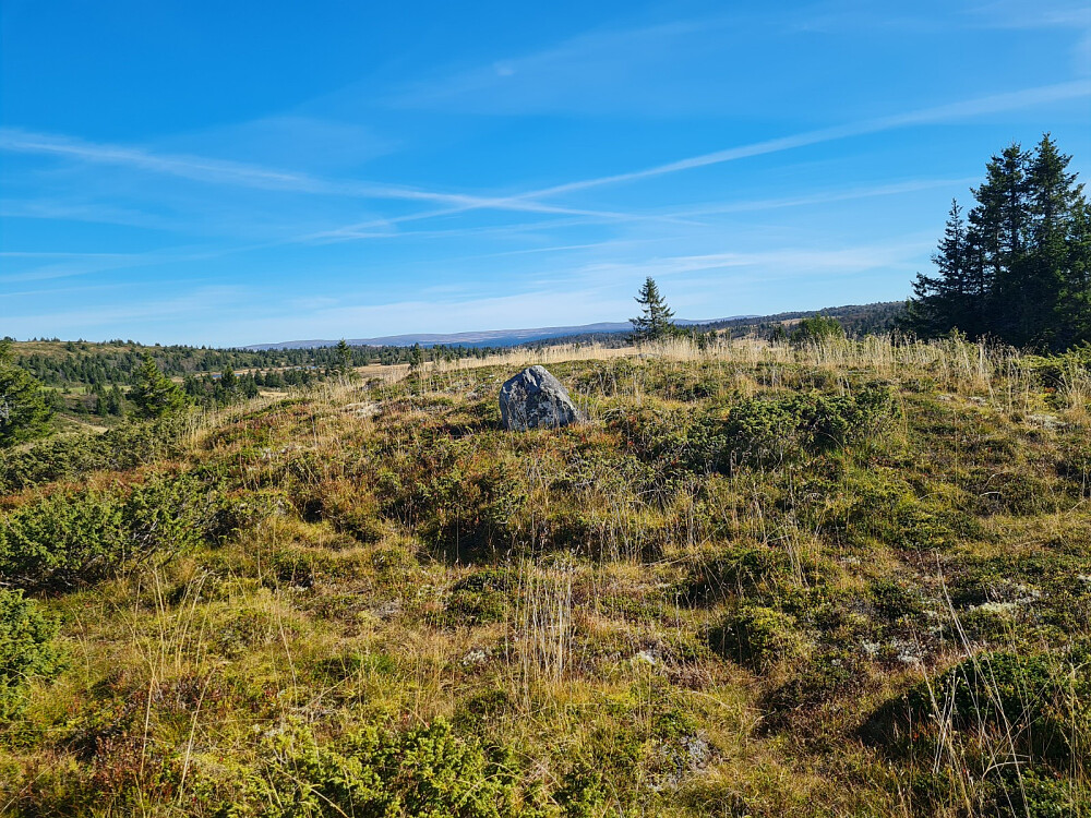 Moksjøhøgda