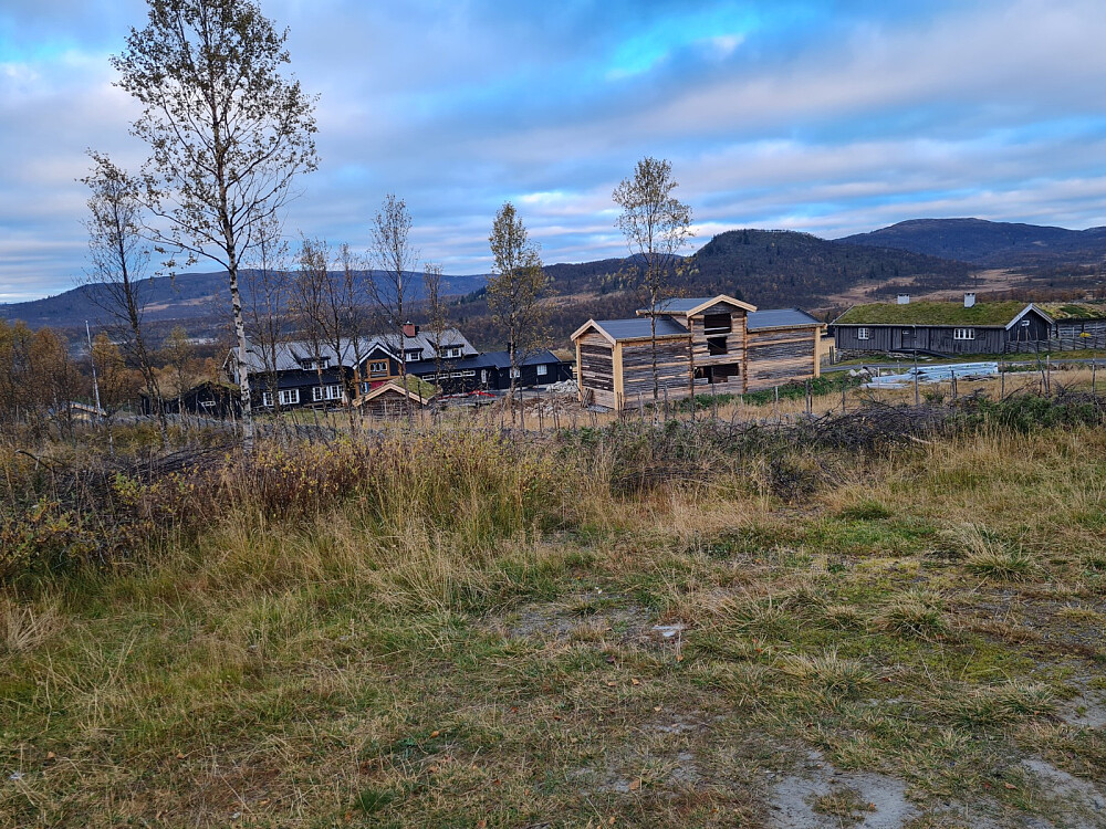 Liomseter