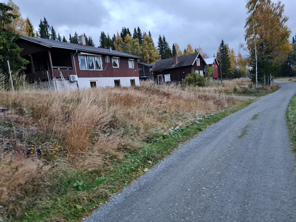Evenvoldsvea