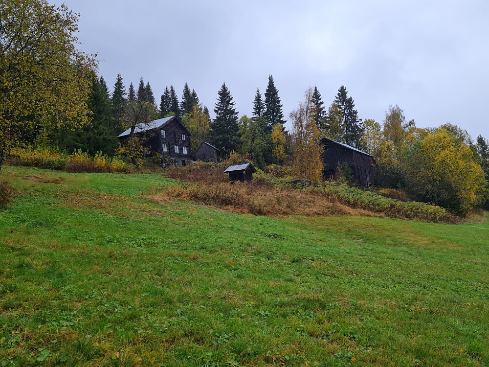 Hammershaug