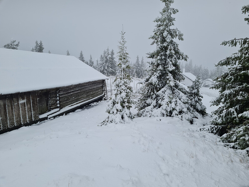 Vinter på Rindåsen