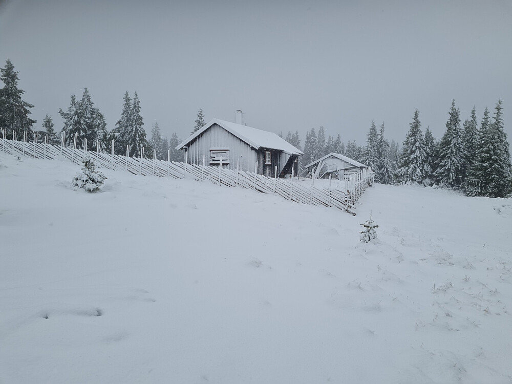 Vinter på Rindåsen