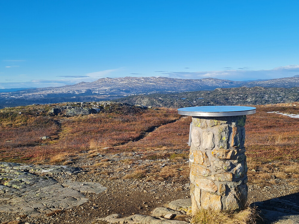 Prestkjerringa