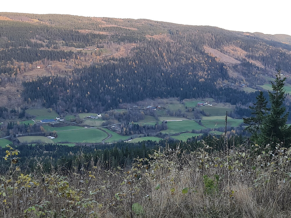 Utsikt fra Grøtåsvegen, mot Solsida i Auggedalen, med Kirkerud, Kirkerudstuen, Bergsgårdene, Finsrudbekkhøgda og Melbø. Tøftum og Tøftumsbakken ovenfor