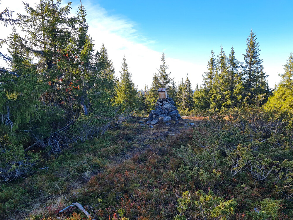 Grøtåshaugen