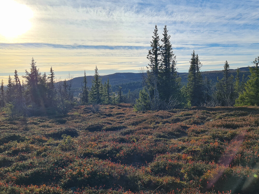 På Storhaugen, mot Prestkjerringa