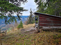 repelo_20251013_68ed17b299981.jpg