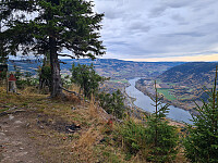repelo_20251013_68ed17b420cd8.jpg
