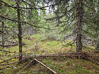 repelo_20251013_68ed17b736f46.jpg