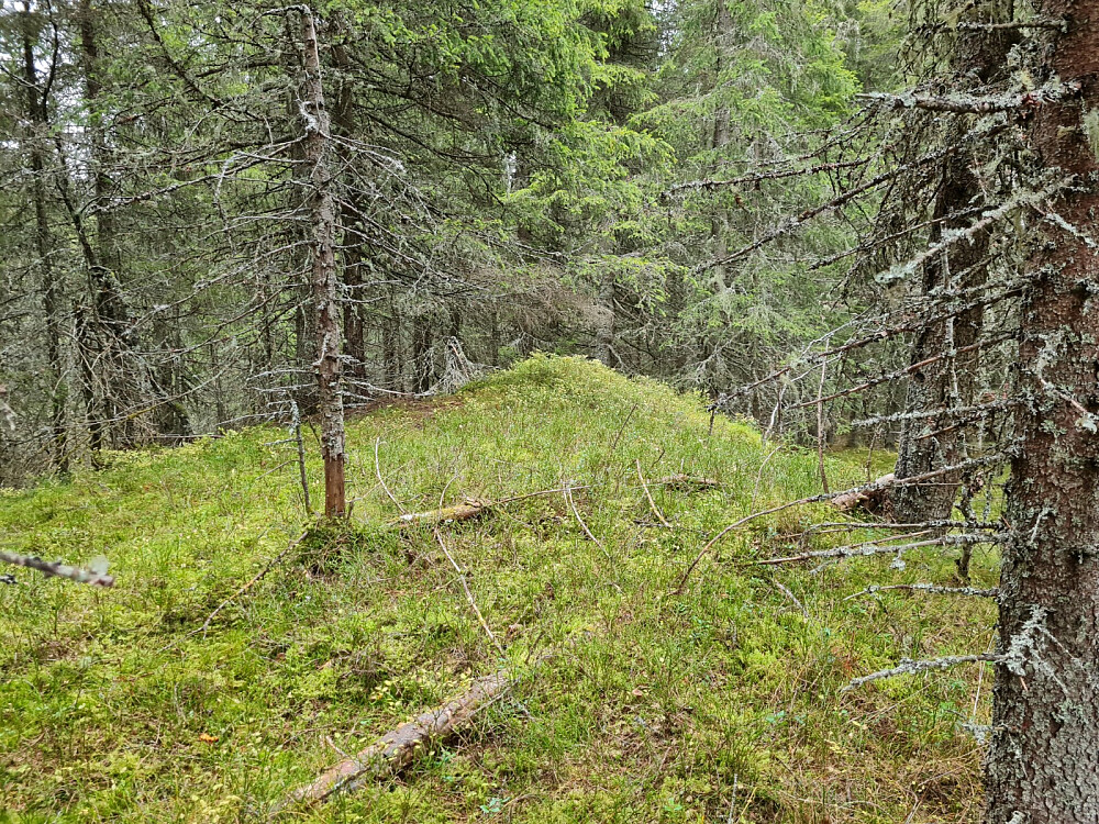 Det «nye» toppunktet Hjelldekken, 757 moh